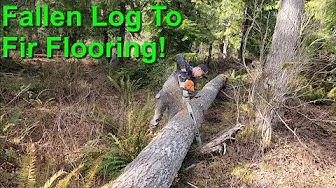 Fir Flooring (CVG) From A Tree Part 1