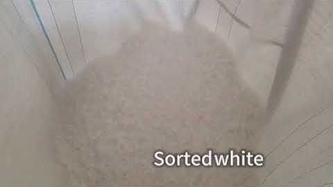 Angelon PP color sorting machine/Plastic recycling machine