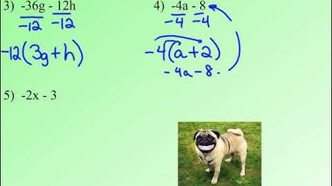 3.5B Factoring negatives from Algebraic Expressions