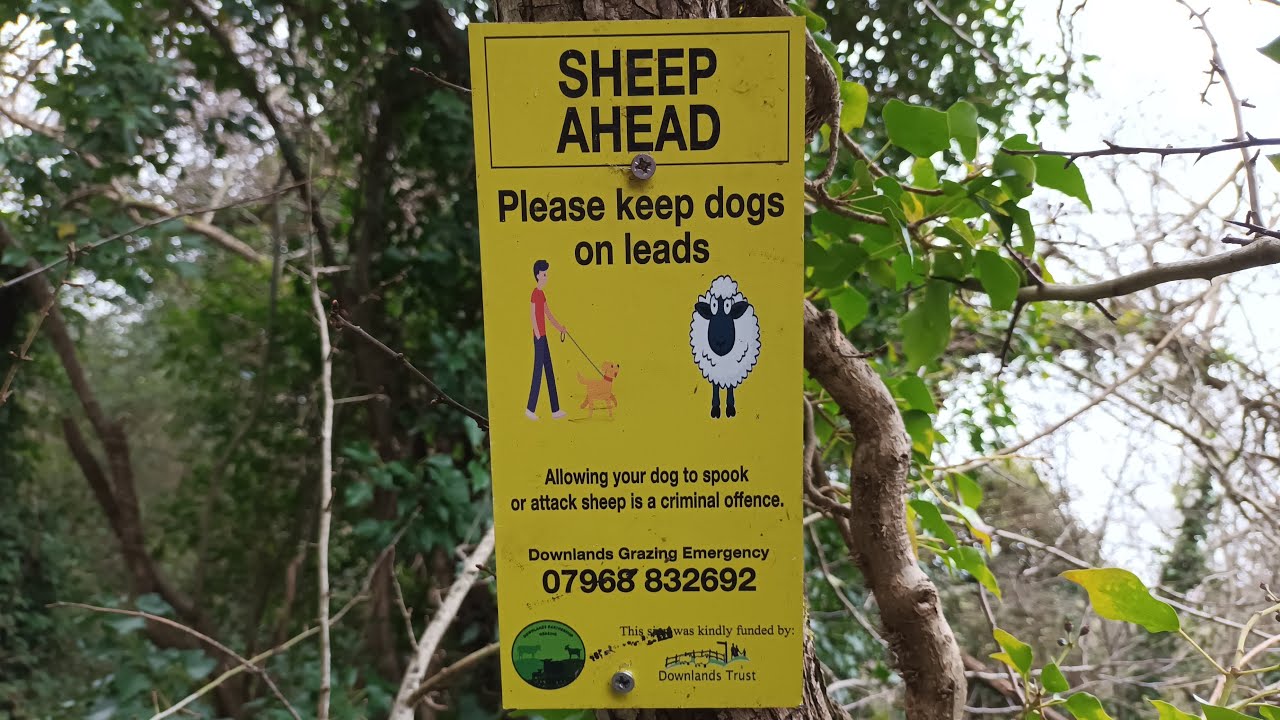 Walking about in New Addington Live! 26/02/2026 - Mobile Stream (1011)