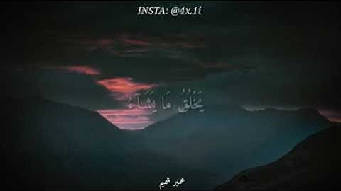 ﴿یَخۡلُقُ مَا یَشَاۤءُۚ﴾ أجمل حالات واتس اب قرآن بصوت القارئ  عمير شميم ❣   HD240P