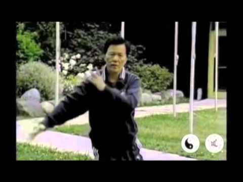 Taoist Tai Chi - Master Moy in Action