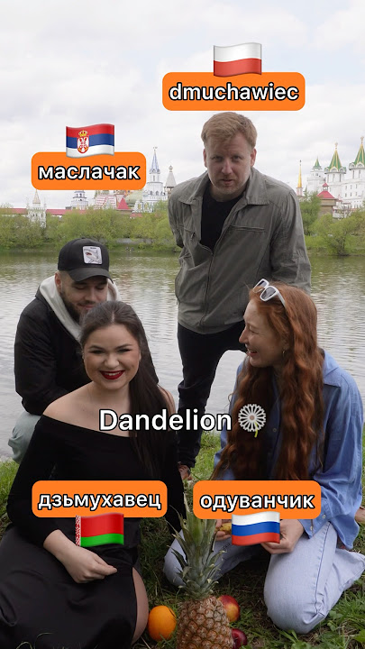 Slavic languages are similar, but… (Russian vs Belarusian vs Serbian vs Polish)