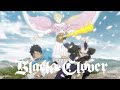 Team C vs Team D! | Black Clover