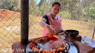 Enchiladas Placeras De Michoacán Así Se Vive En El Rancho