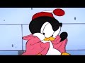 Chilly Willy En Español Una Nueva Vida Capitulos Completos Dibujos Animados Chilly Willy En Español Una Nueva Vida Capitulos Completos Dibujos Animados