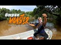 Misi Mencari Monster Monsoon Camping Catch Cook