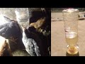How to make automatic chicken water feeder , using plastic bottle