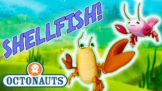 Octonauts - Learn about Shellfish | Cartoons for Kids | Underwater Sea Education