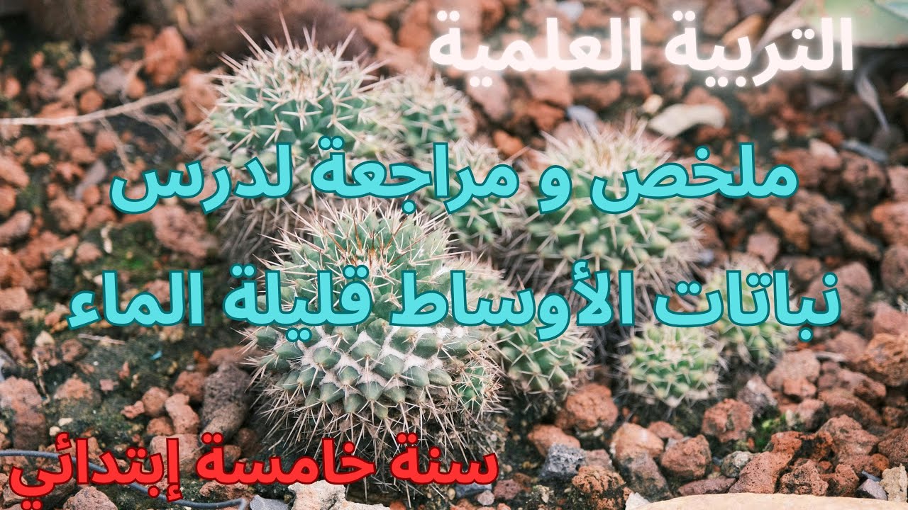 ملخص و شرح رائع 📝 لدرس نباتات الاوساط قليلة الماء🤔🌵 تربية علمية 😊 سنة ...
