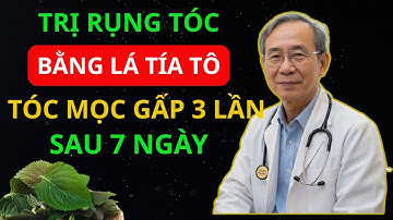 Giải Cứu Mái Tóc Hư Tổn, Gãy Rụng Với Lá Tía Tô: 5 Công Thức Hiệu Quả Tại Nhà ! Sức Khoẻ Toàn Diện