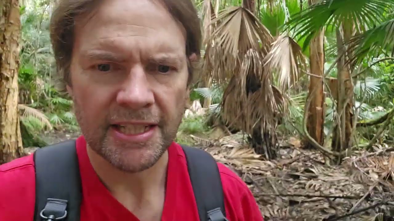 Bushwalk Review: Kawana Forest Reserve Sunshine Coast