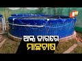 How is biofloc fish farming is done in odisha  know details
