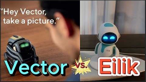 Eilik vs Vector, Do you want to choose Vector or Eilik?