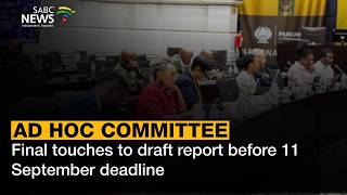 Ad Hoc Committee | Final touches to draft report before 11 September deadline