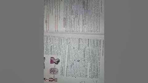 Molecular basis of inheritance part 28/33: human genome project part 1