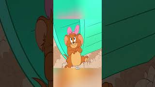 Tom Had Only One Choice… Turn Jerry Into a Fake Hamster