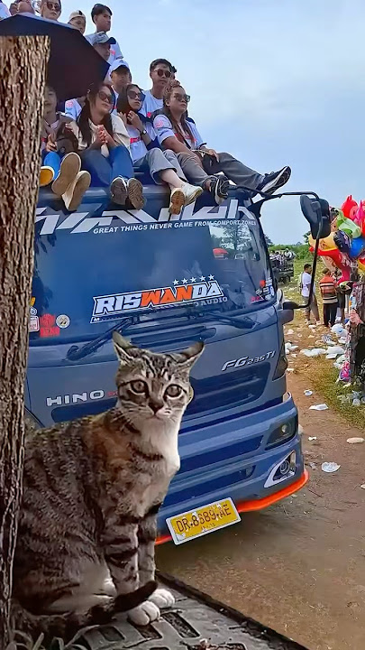 Kucing kaget sound horeg lewat