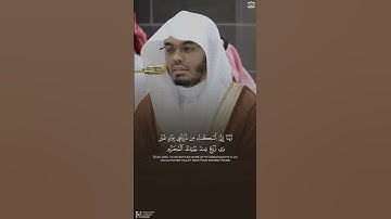 تلاوة جميلة جدا للشيخ ياسر الدوسري🫀🌼