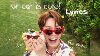 Meer Nash - Ur Cat Is Cute Lyrics