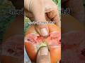 आखिर राज के पके टमाटर कैसे हैं।। #shorts #youtubeshorts #vegetables #farming #farm