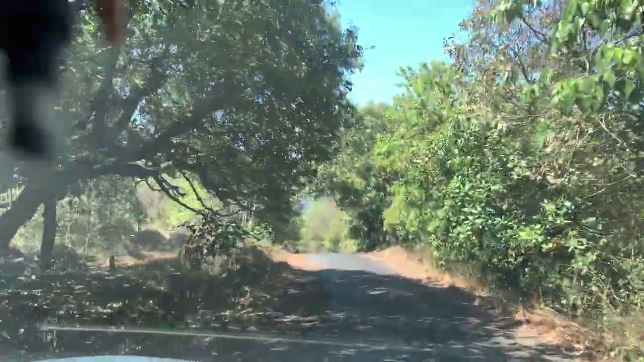 Beautiful journey from Goa to Mumbai 