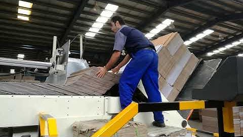 Shanghai Dinglong FFG   , Flexo folder gluer inline