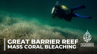 Australia’s Great Barrier Reef hit by mass coral bleaching