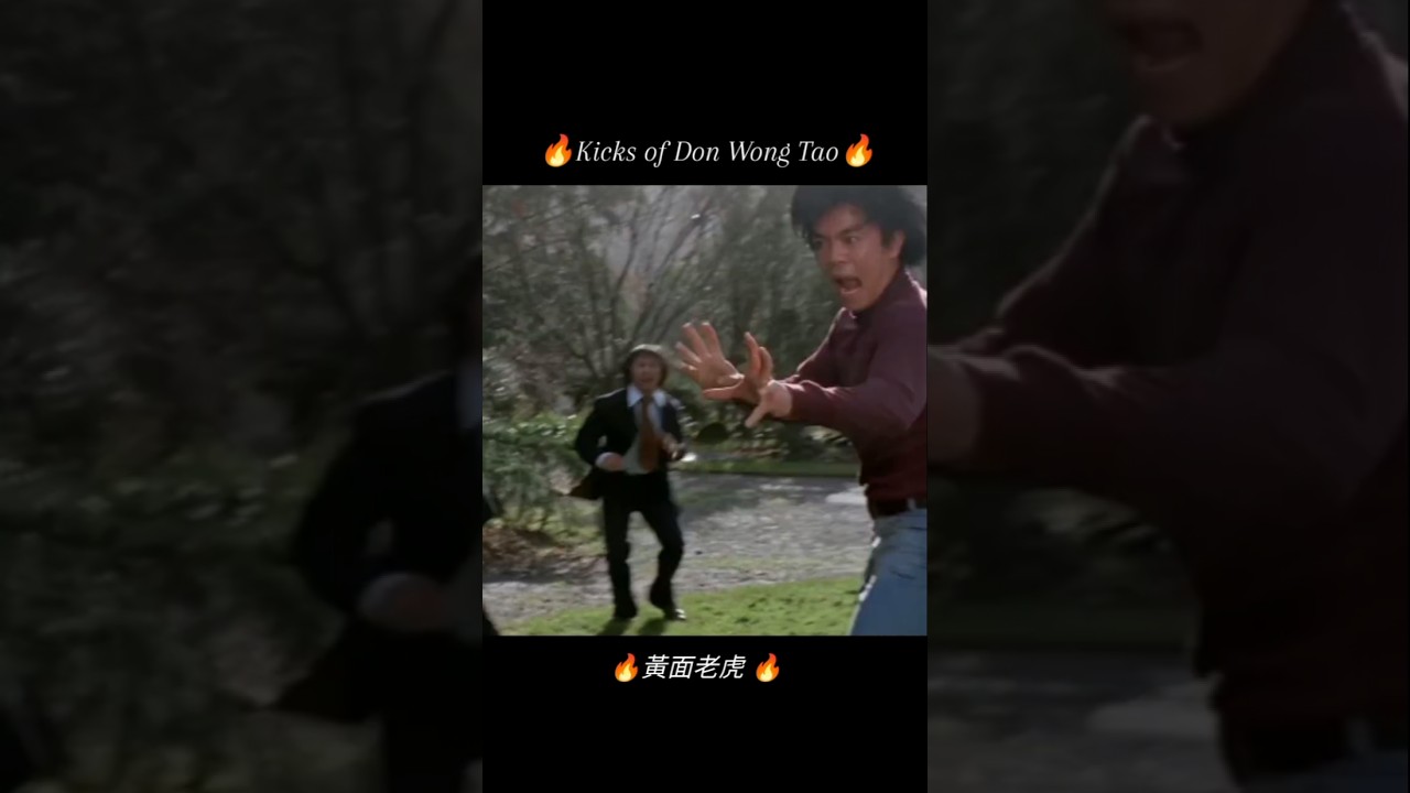 ⚡"The thunderous kicks of Don Wong Tao."⚡