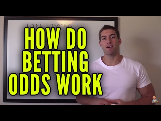 Betting Odds Explained - How Do Betting Odds Work? Sports Betting Guide ...