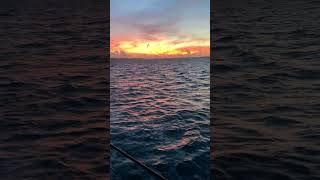 reel vs reality #marcos #army #marino #marino #sea #seafood #military #shortsvideo #shorts