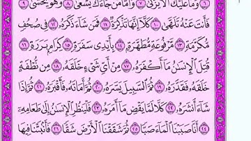سورة عبس للقارئ  رضا عبدالمحسن مع القراءة من المصحف الشريف📖جودة عالية