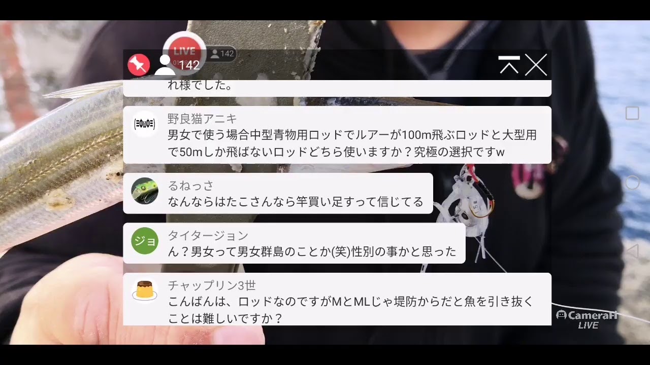 きじはたの生態 明けましておめでとうございます Youtube