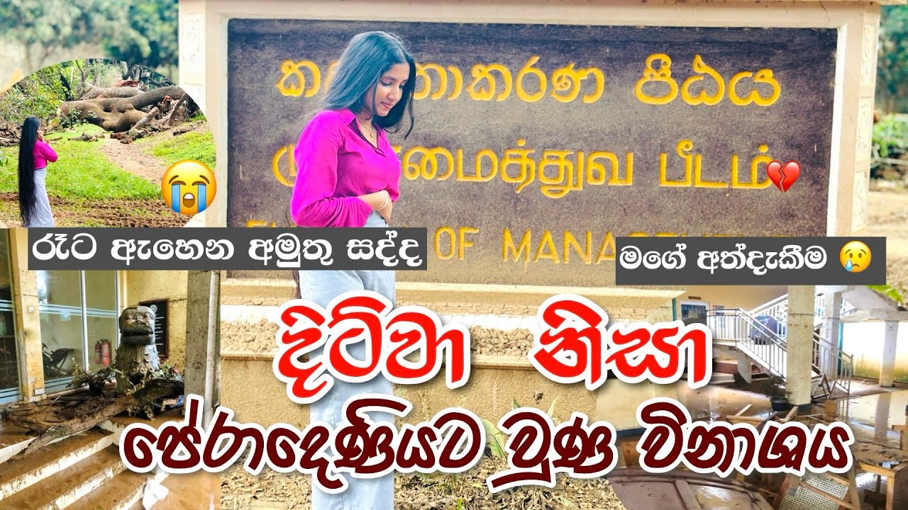 පේරාදෙණියෙ ගෙවෙන මූසලම දවස් 😢💔| රෑට ඇහෙන අමුතු සද්ද| දිට්වා කරපු විනාශයක් | University of Peradeniya