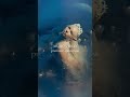 11 am PST at @SEVENLIONSofficial channel!!! 🌙