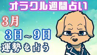 【週間占い】2日～8日の運勢を占います！/ オラクルカード第90回【Vtuber/星戌セン/#vtuber #オラクルカード #占い】