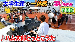 【ストリートピアノ】学園祭に潜入中、ハム太郎OP弾いたら大学生達はアレやってくれるんか？ byよみぃ【コール】