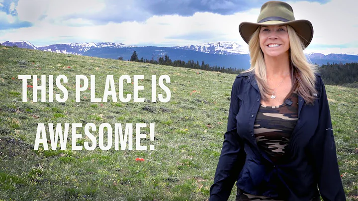 I CAN'T BELIEVE I'VE NEVER BEEN HERE! | Living in ...