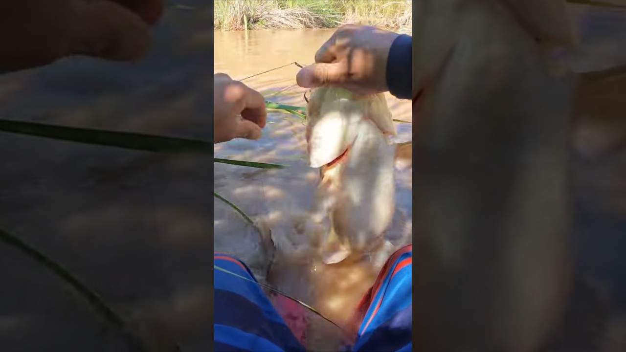 Great memories #wildhookadventures #fishing #newmexico #outdoors #muddyriver #flatheadfishing #