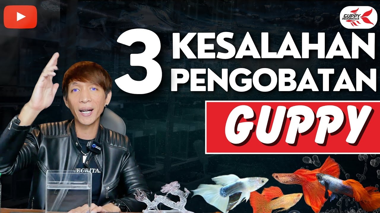 CARA PENGOBATAN IKAN GUPPY YANG BENAR
