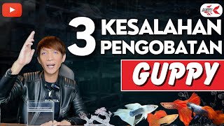 CARA PENGOBATAN IKAN GUPPY YANG BENAR