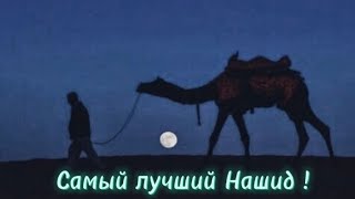 Самый Лучший Нашид!!!  #Нашид #Nasheed #Anasheed #Ислам #Умма