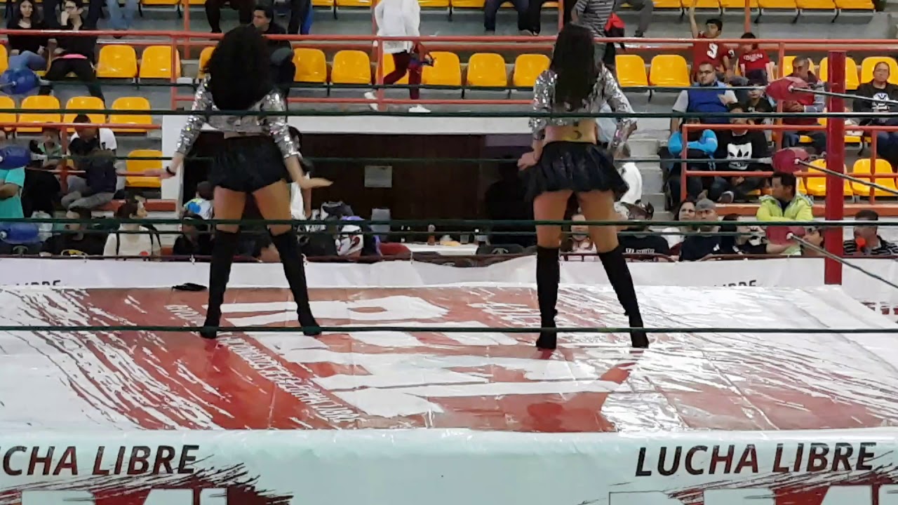 EDECANES DE LUCHA LIBRE REAL