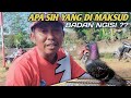 NO 3 WAJIB‼️CIRI CIRI MERPATI SIAP IKUT LOMBA