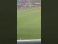 North Melbourne vs west coast round 22 Blundstone arena