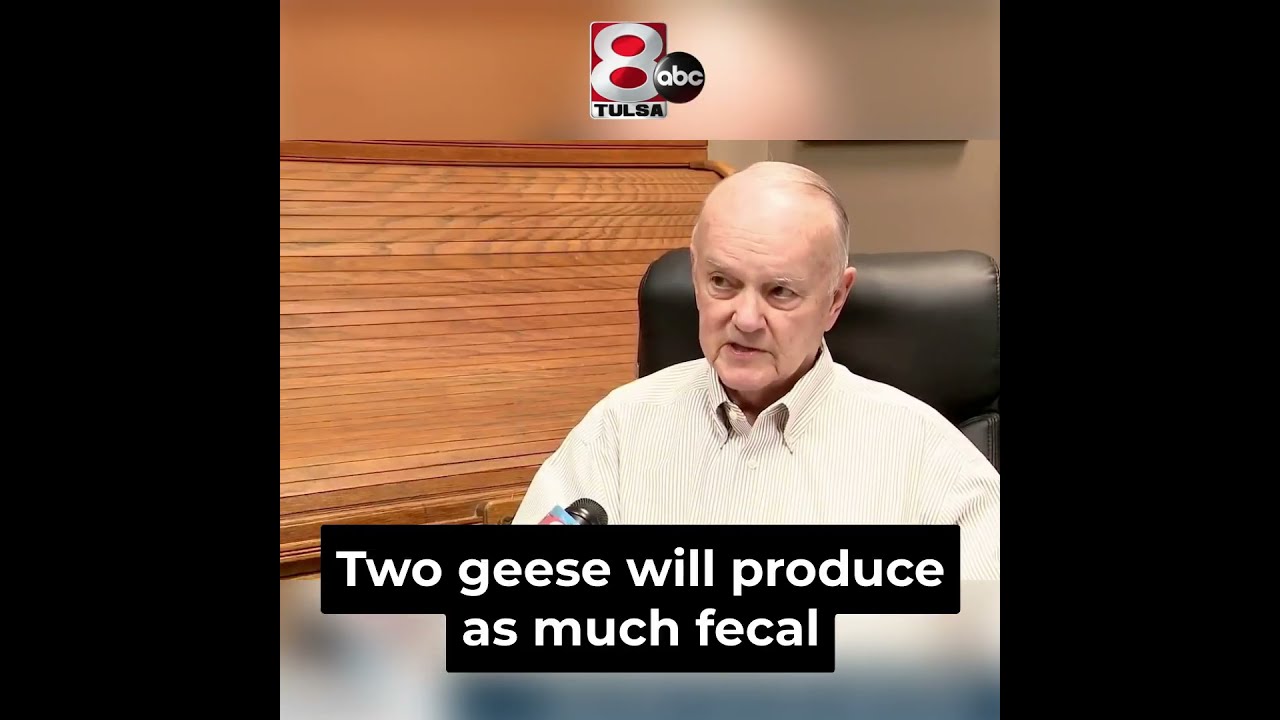 HOW Much Fecal Matter Is In The River YouTube HOW Much Fecal Matter Is In The River YouTube