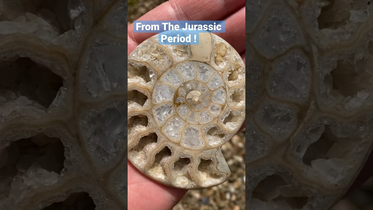 I Can’t Believe I Found This Fossil Preserved In Crystalline Calcite!🪨💫