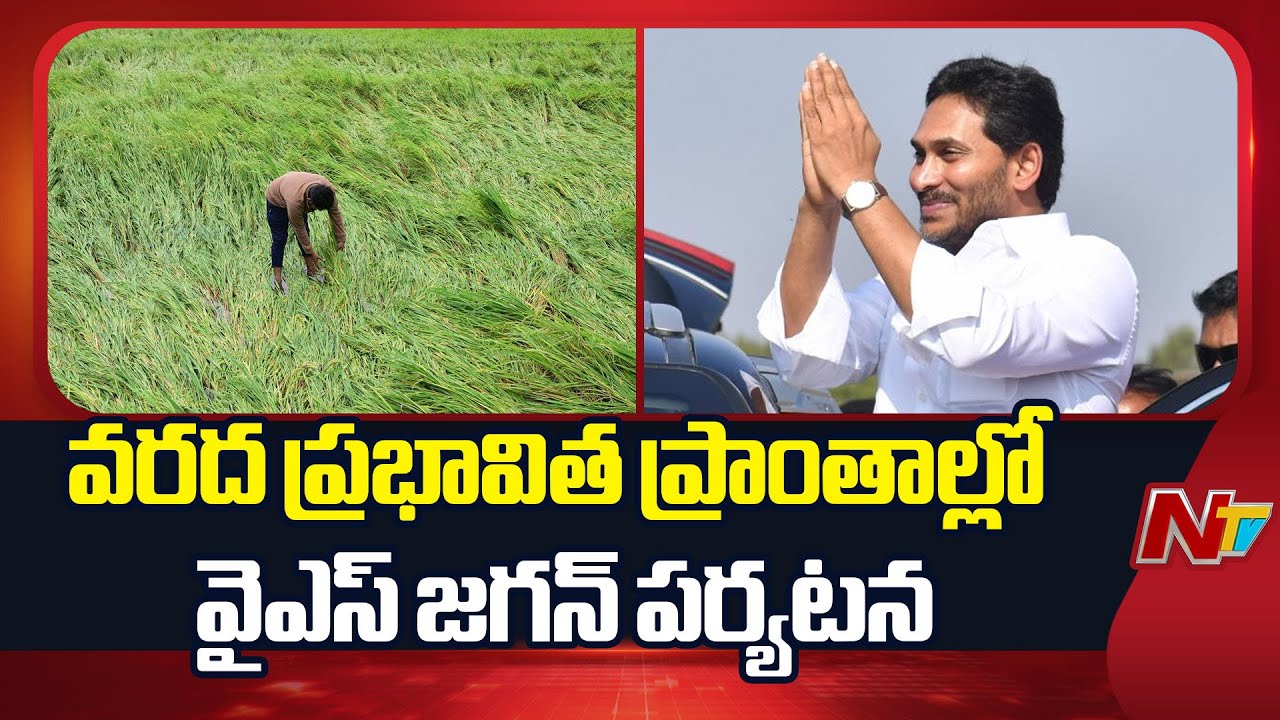 YS Jagan To Visit Flood-Affected Areas Today | Krishna District | YSRCP | NTV Telugu