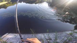 テールウォーク＆エクスセンスDC出たぁ