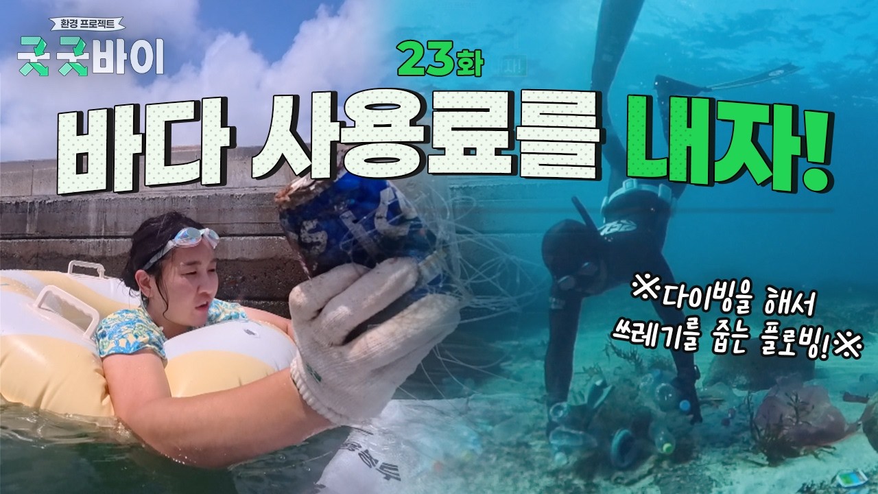 바다 사용료를 내자! | 환경 프로젝트-굿 굿바이 | KBS제주 260901방송